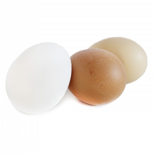 Vajíčka reálná 12ks 6cm mix